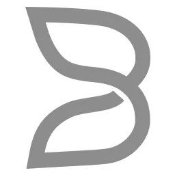 BAI logo