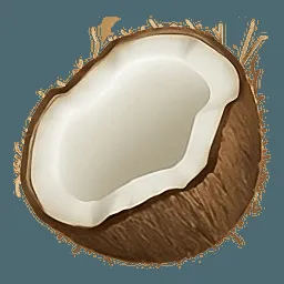 Coconote AI tool logo