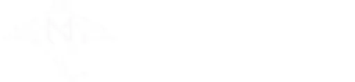 MegaNova logo