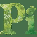 Pi AI tool logo