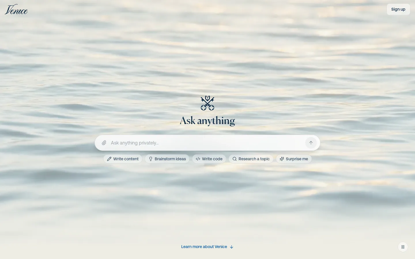 Venice AI AI Chatbot product screenshot