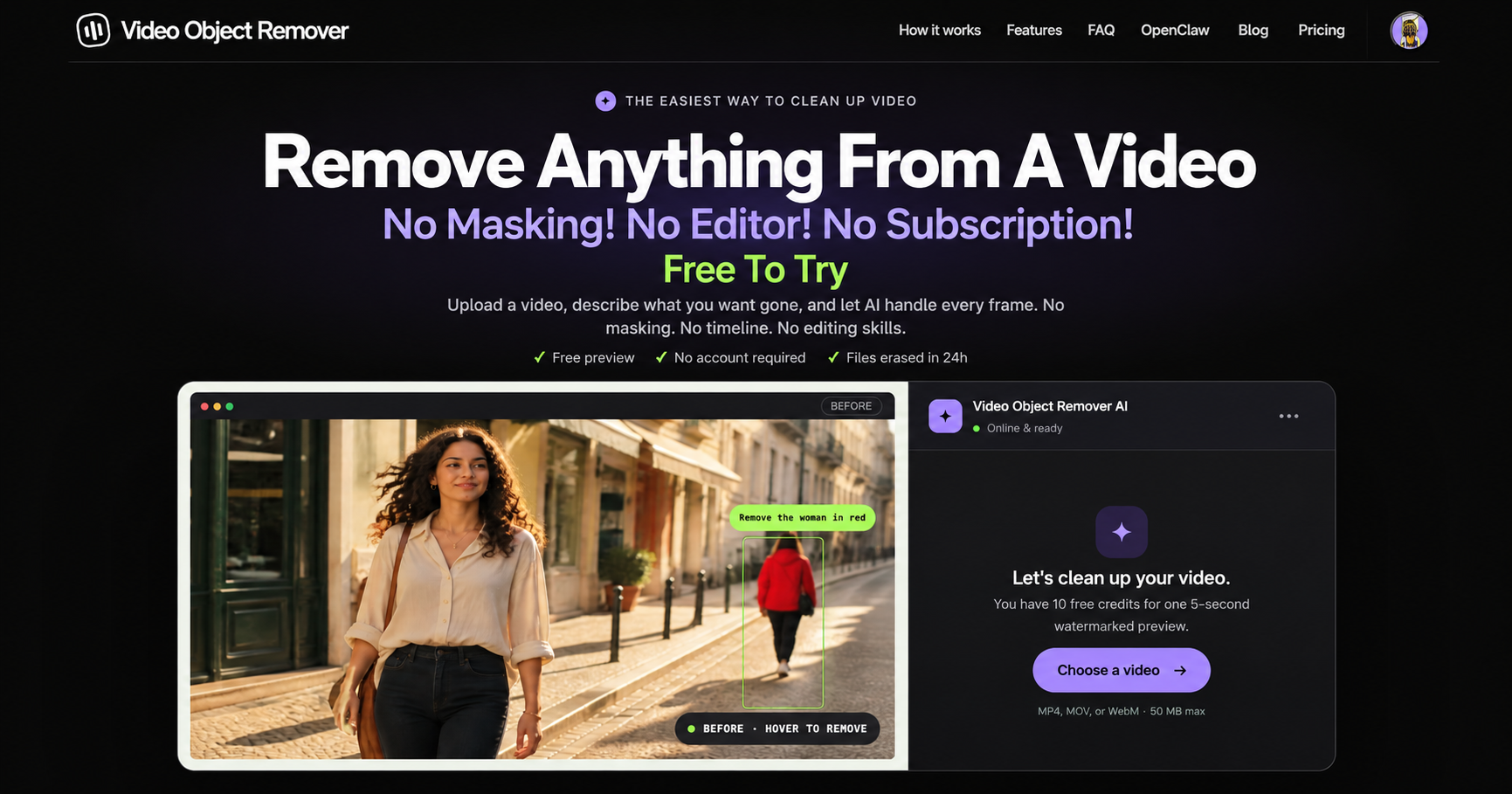 Video Object Remover AI Video Editor product interface screenshot