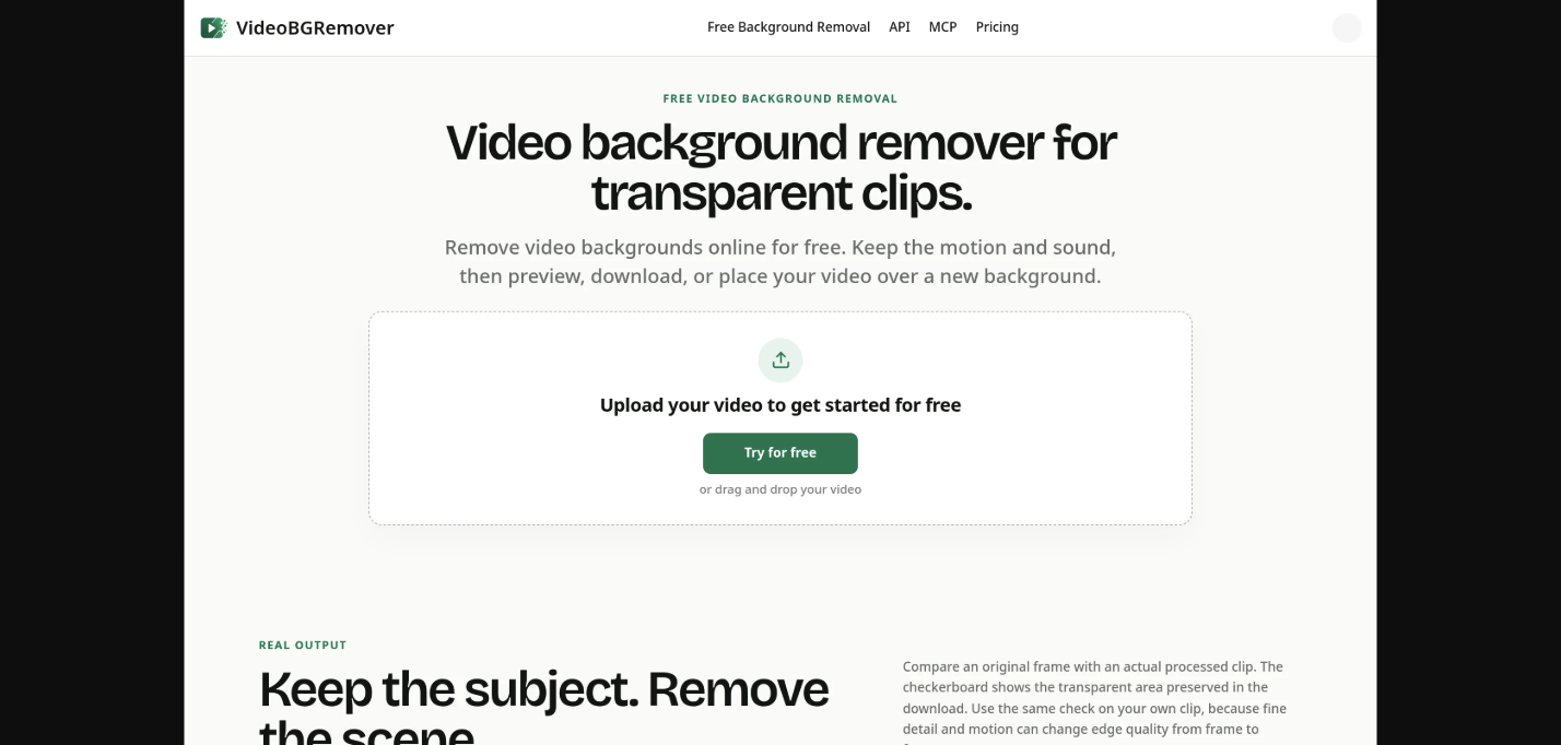 VideoBGRemover AI Video Editor product interface screenshot