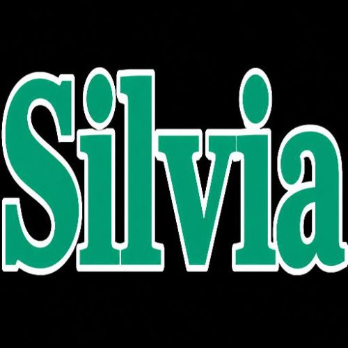 CFO Silvia logo