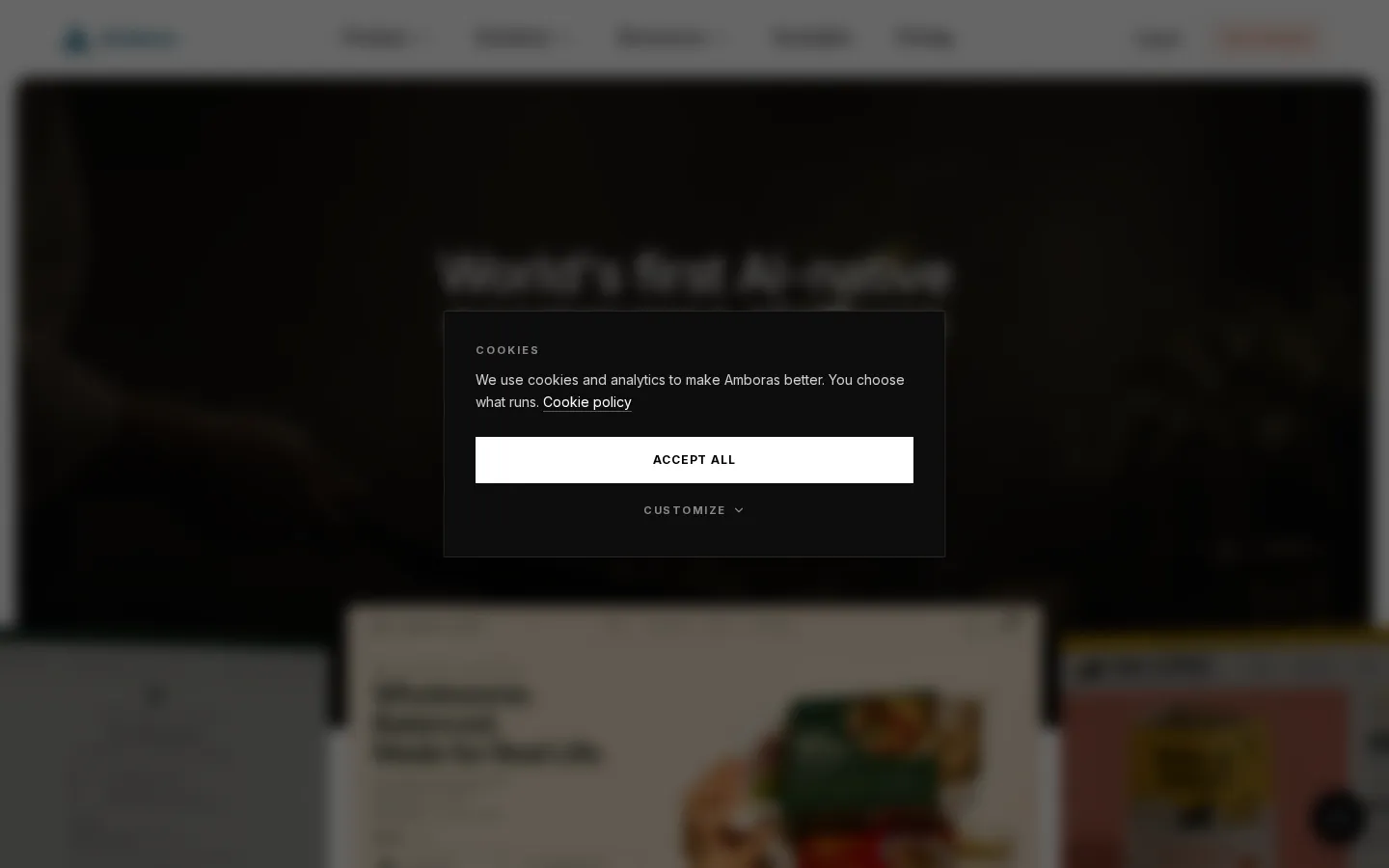 Amboras AI Website Designer product screenshot