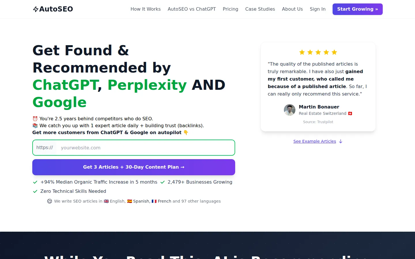 AutoSEO AI SEO Tools product screenshot