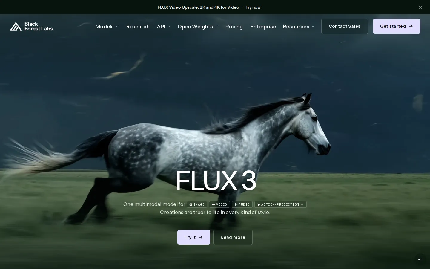 Black Forest Labs AI Image Generator product interface screenshot