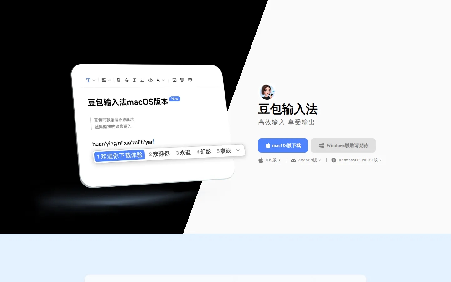 Doubao Input Method AI Productivity Tools product screenshot
