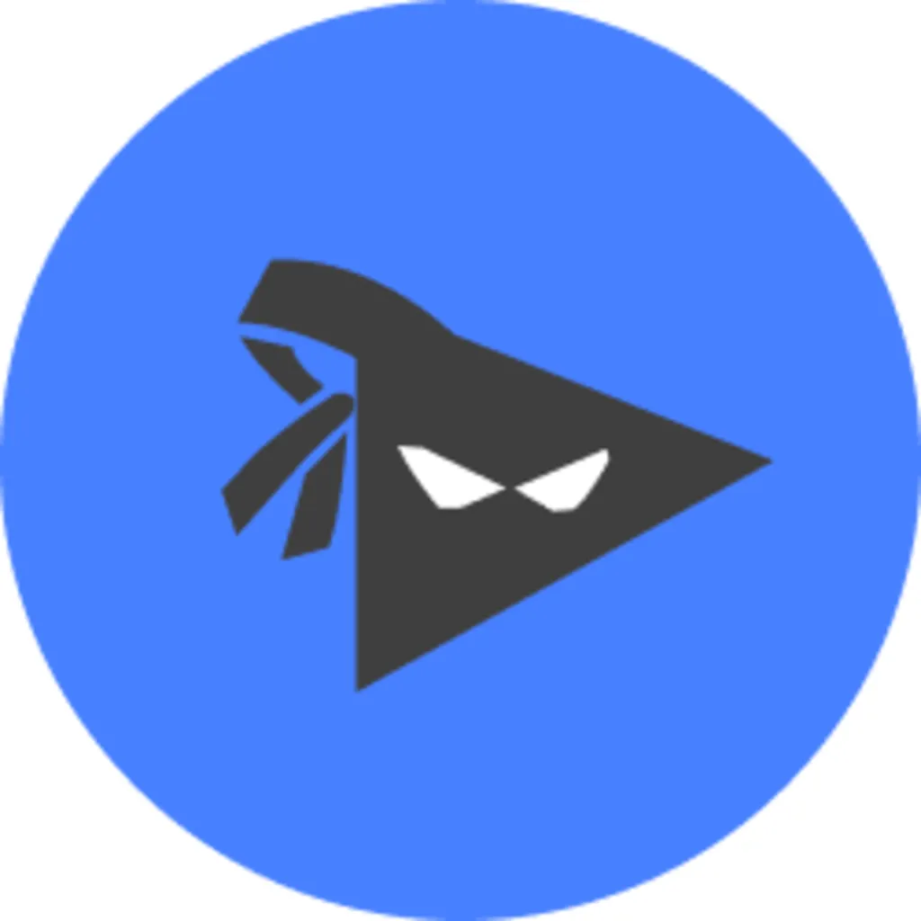 VidNinjas logo